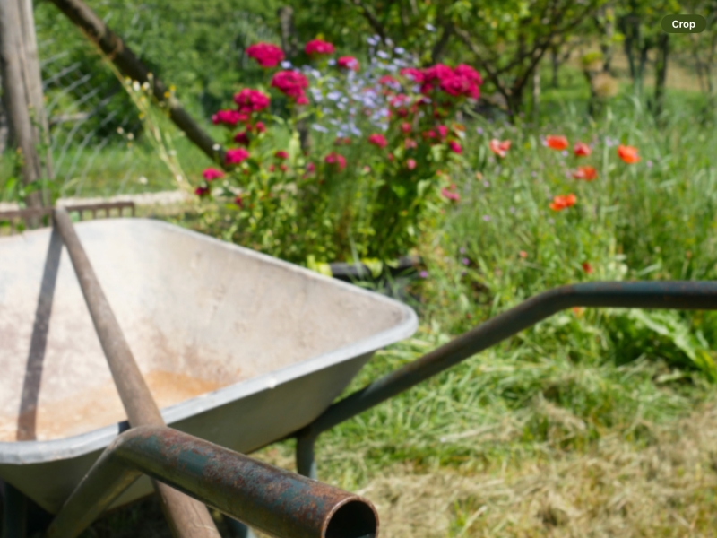 Seaford Allotments